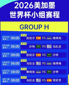 世界杯球场观众欢呼